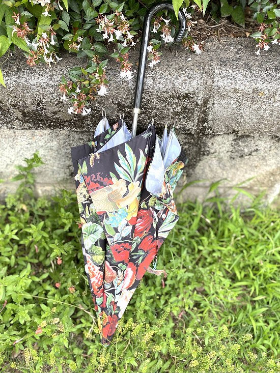 nuts 雨傘 ナース【本体価格+送料770円込み】