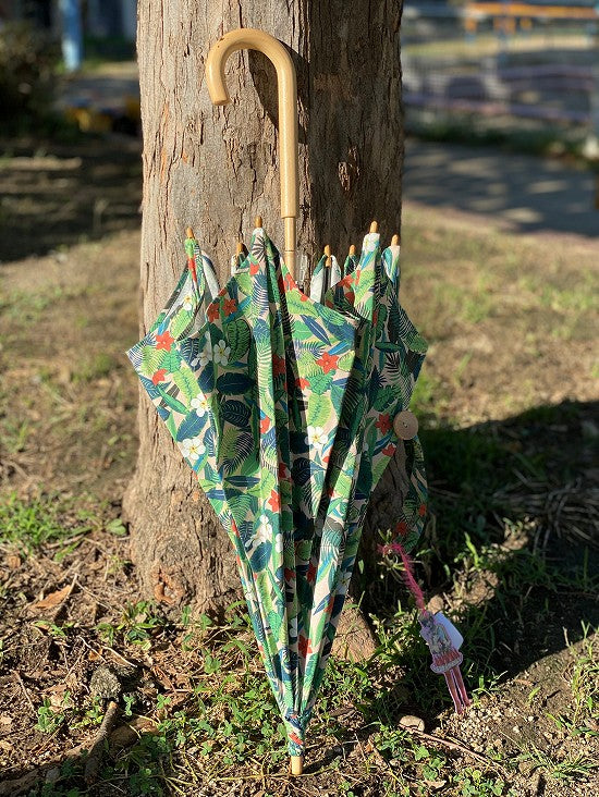 nuts 日傘【本体価格+送料770円込み】