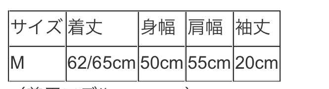 フリンジジョーゼットバルーンスリーブTシャツ