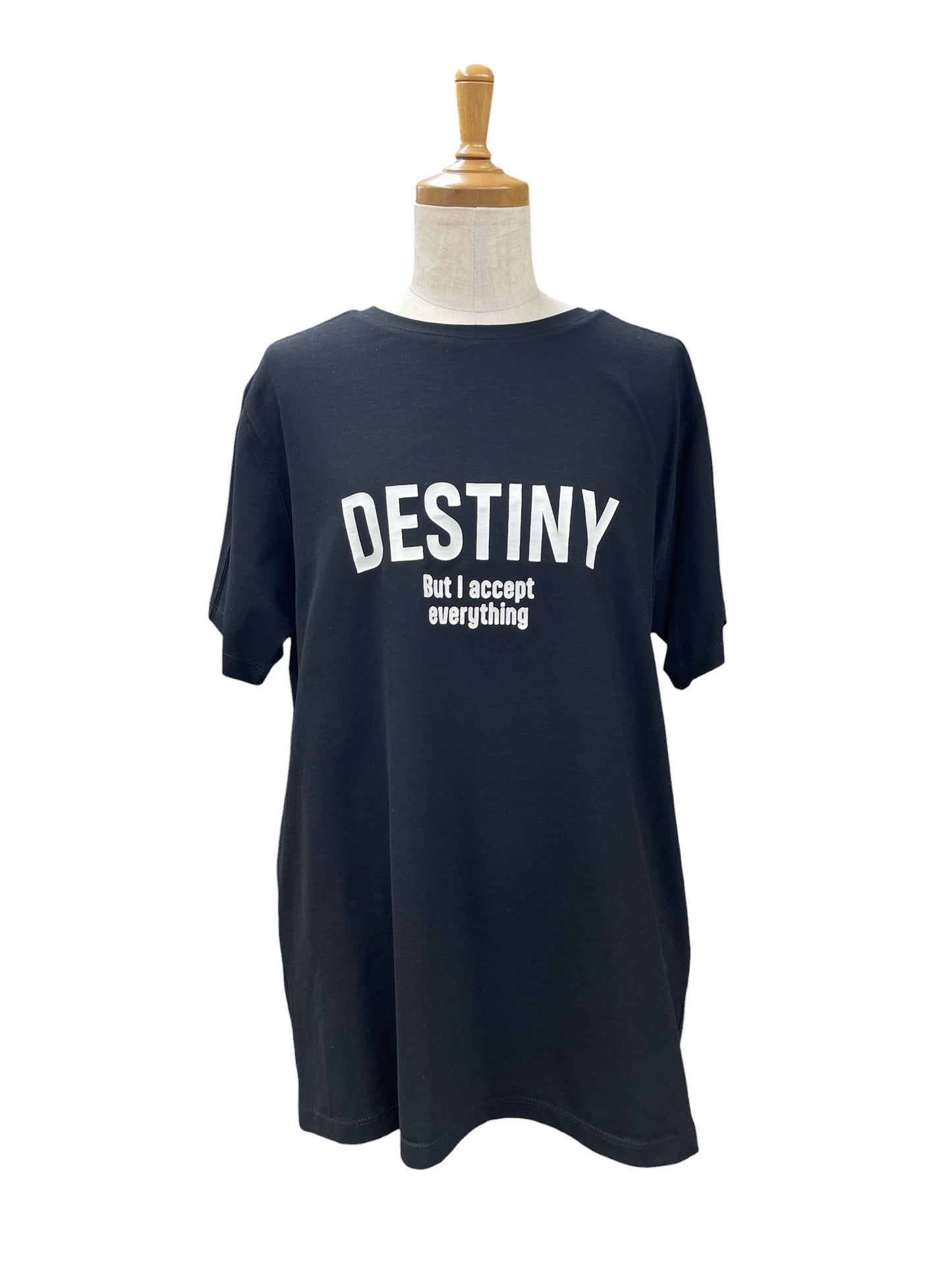 Mia DESTINYロゴT