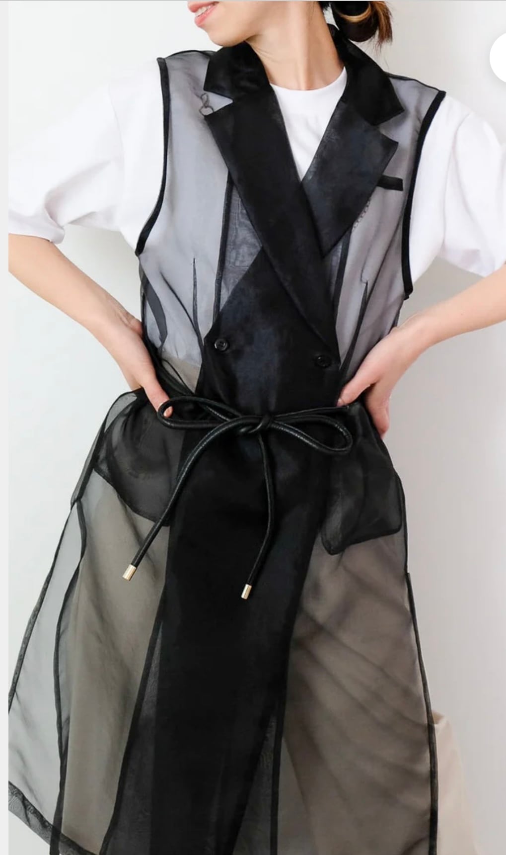 オーガンジーイレヘムテーラージレ