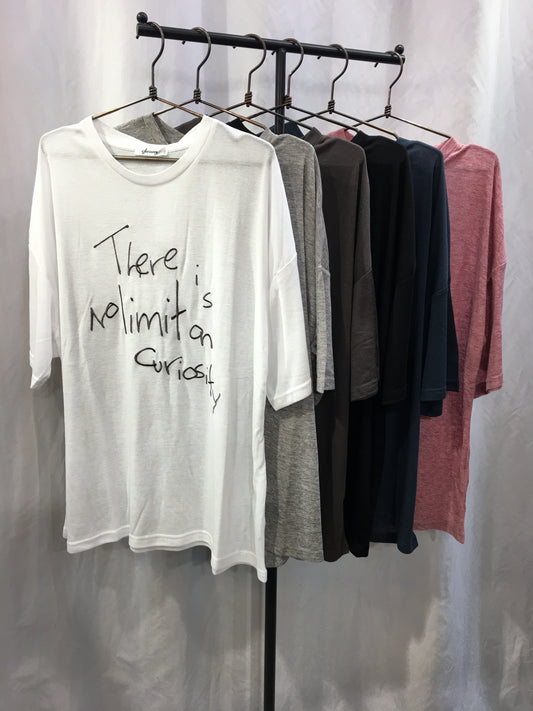 ☆手書き風ロゴ刺繍シアーBIG T