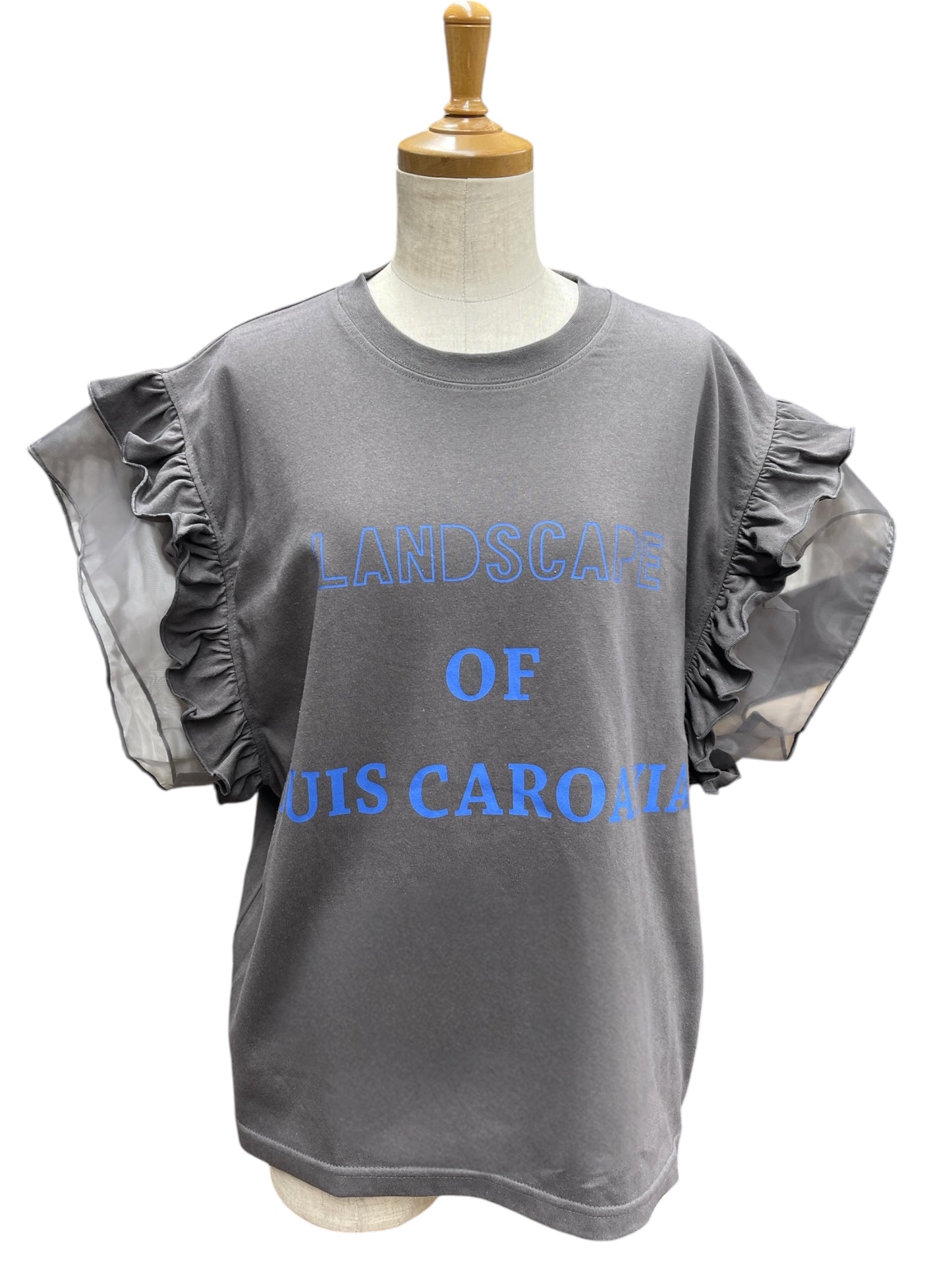 袖オーガンジーフリルトップス