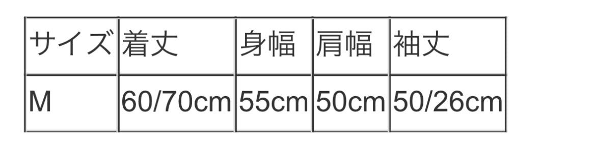 メッシュベロア袖レイヤードPO