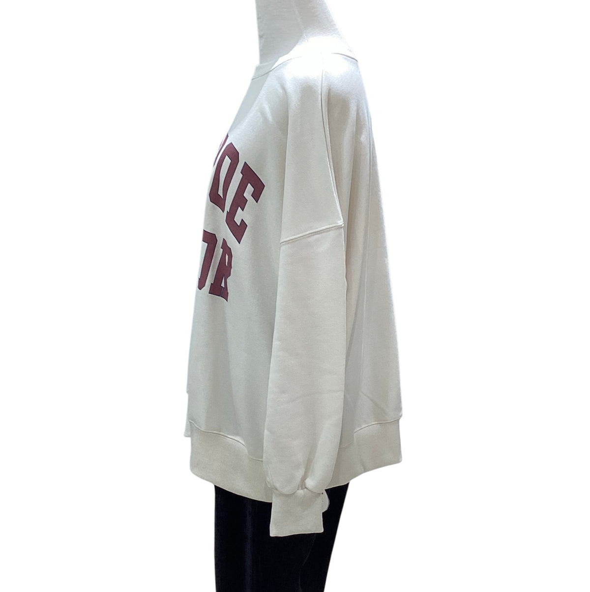 ◎ひび割れカレッジロゴBIGPO