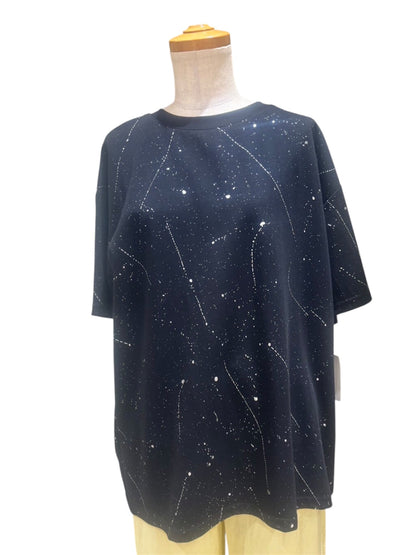 ◎キラキラペイントT