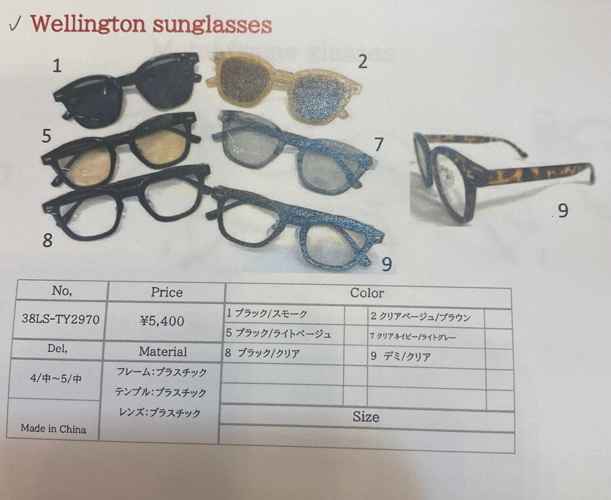 ☆ご予約商品ATELIER BRUGGE Wellington sunglasses