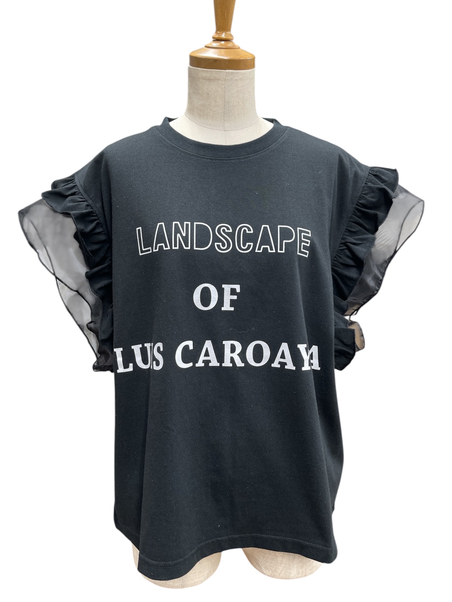 袖オーガンジーフリルトップス