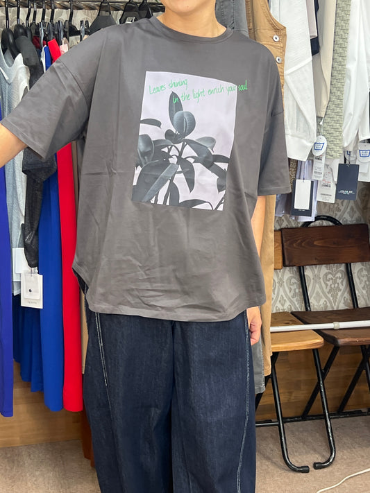 シルケットTシャツ